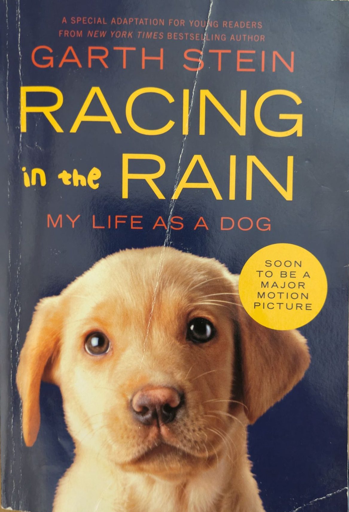 The Art of Racing in the Rain by Garth Stein | Should You Read It? Why its for You?